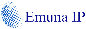 testing.emunaip.com